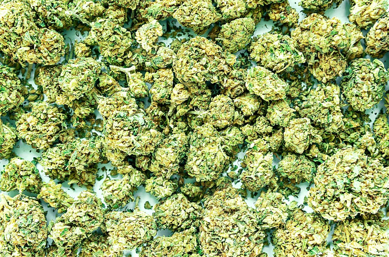 Cannabis buds spread on a surface