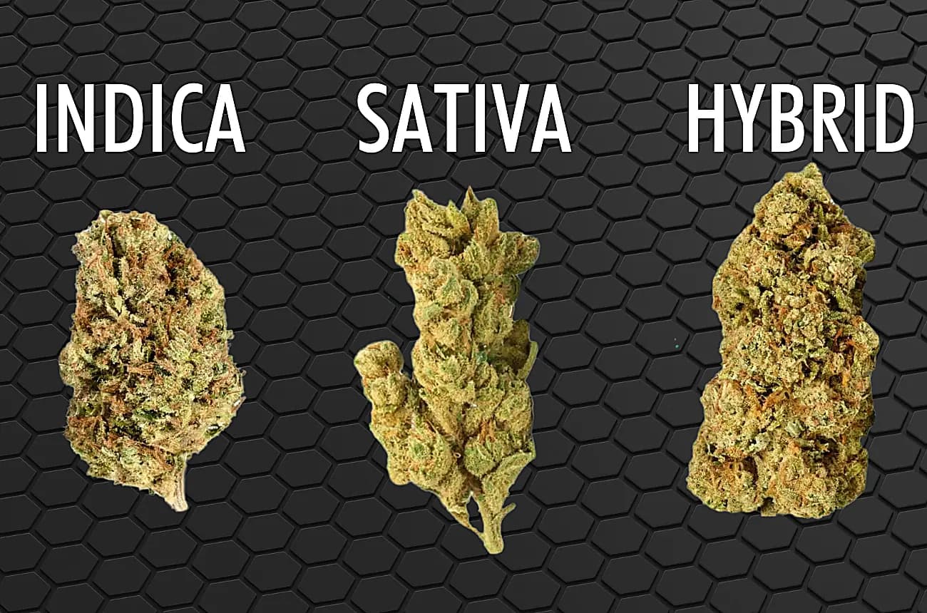 Honeycomb Cannabis branded products